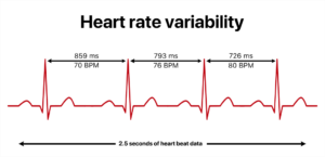heart rate variability using python — python coding... Does Heart Rate Variability Detect Overtraining? - Wu Tsai Human ...
